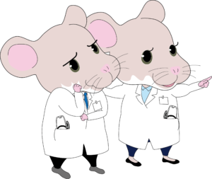 2.フィードバックf→m